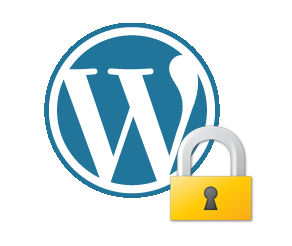 wordpress security icon